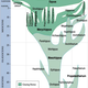 Image for article titled 8 Scientific Discoveries That Prove Evolution is Real